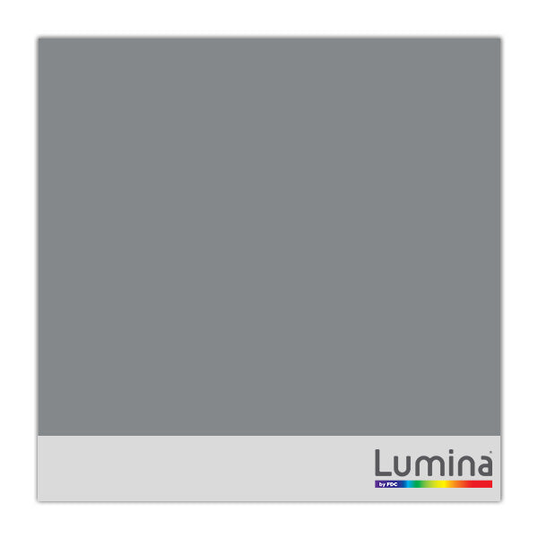 Lumina 4200 Intermediate Ultra High Gloss Vinyl 007 Silver