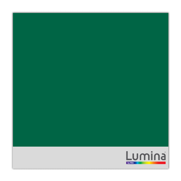Lumina 4200 Intermediate Ultra High Gloss Vinyl 024 Dark Green