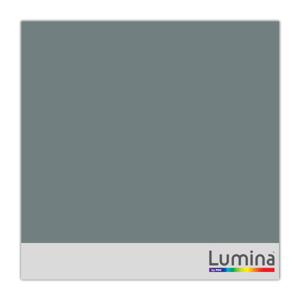 Lumina 4200 Intermediate Ultra High Gloss Vinyl 050 Medium Gray