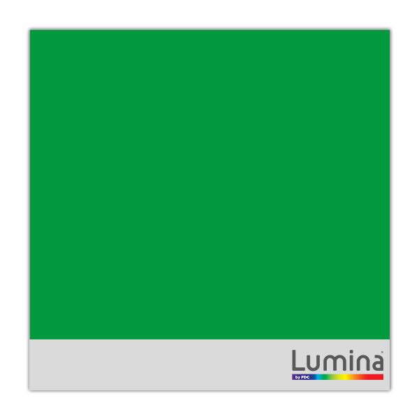 Lumina 4200 Intermediate Ultra High Gloss Vinyl 061 Kelly Green