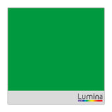 Lumina 4200 Intermediate Ultra High Gloss Vinyl 061 Kelly Green